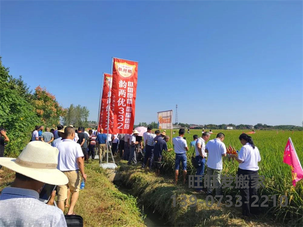 新興隆，新氣象，新未來——記興隆湖南韻兩優332省級觀摩會在常德漢壽圓滿召開