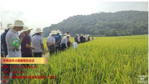 湖南興隆種業有限公司,長沙稻谷種植與銷售,長沙農作物品種的選育,長沙農業病蟲害防治服務