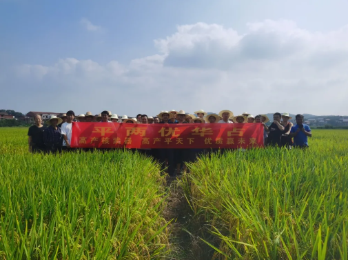 湖南興隆種業有限公司,長沙稻谷種植與銷售,長沙農作物品種的選育,長沙農業病蟲害防治服務