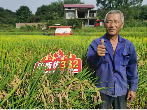 湖南興隆種業有限公司,長沙稻谷種植與銷售,長沙農作物品種的選育,長沙農業病蟲害防治服務