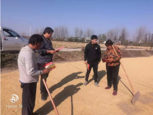 湖南興隆種業有限公司,長沙稻谷種植與銷售,長沙農作物品種的選育,長沙農業病蟲害防治服務