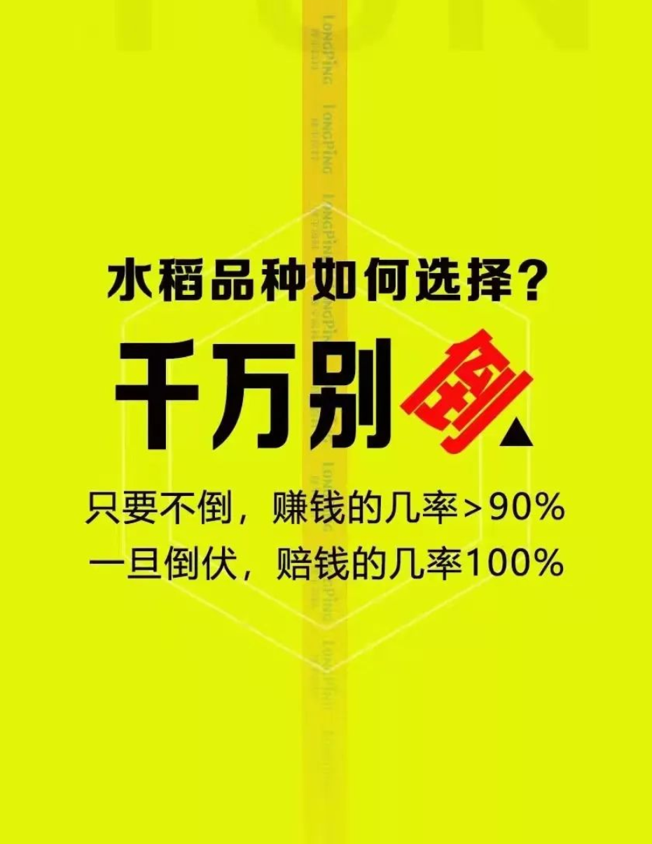 湖南興隆種業有限公司,長沙稻谷種植與銷售,長沙農作物品種的選育,長沙農業病蟲害防治服務