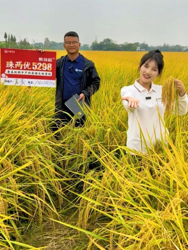 湖南興隆種業有限公司,長沙稻谷種植與銷售,長沙農作物品種的選育,長沙農業病蟲害防治服務